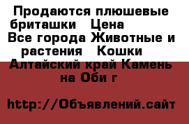 Продаются плюшевые бриташки › Цена ­ 2 500 - Все города Животные и растения » Кошки   . Алтайский край,Камень-на-Оби г.